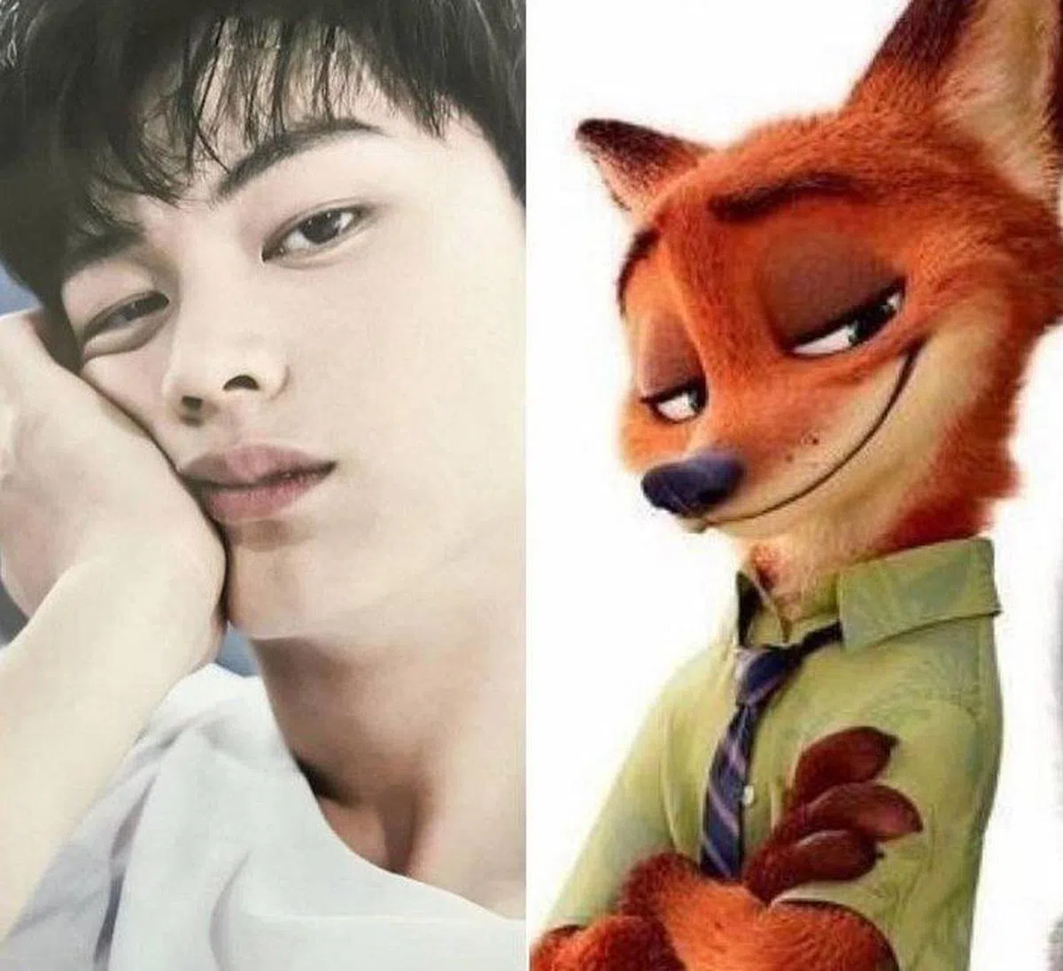 陆星材（Yook Sungjae）常被说长得像沙漠狐狸，电影《Zootopia》上映后，网友更发现狐狸一角Nick和陆星材的神态简直一模一样。（图/互联网）