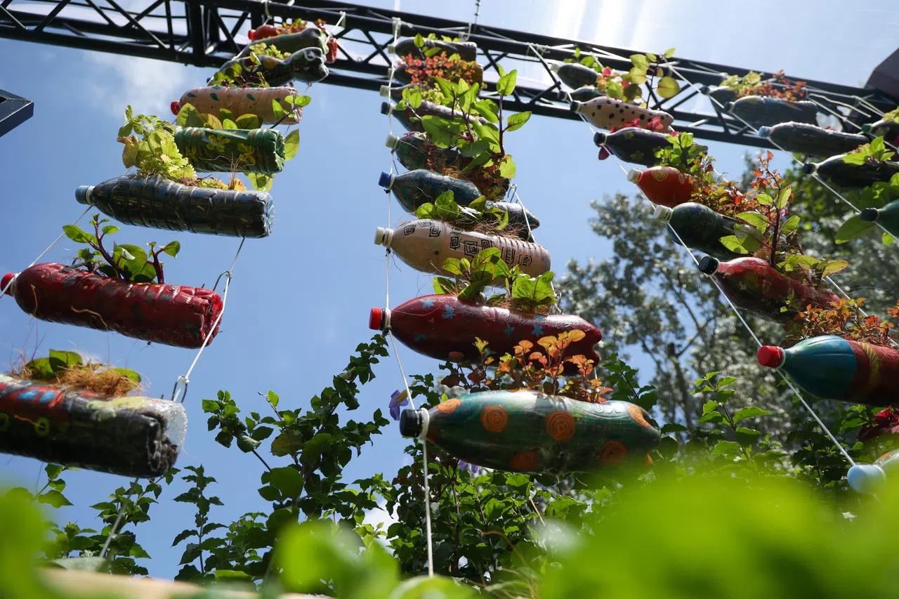 锦簇社区计划下的各个社区花园小组也将在活动上展示园艺作品，其中包括用塑料瓶子回收创作的花瓶和装饰。（张俊杰摄）