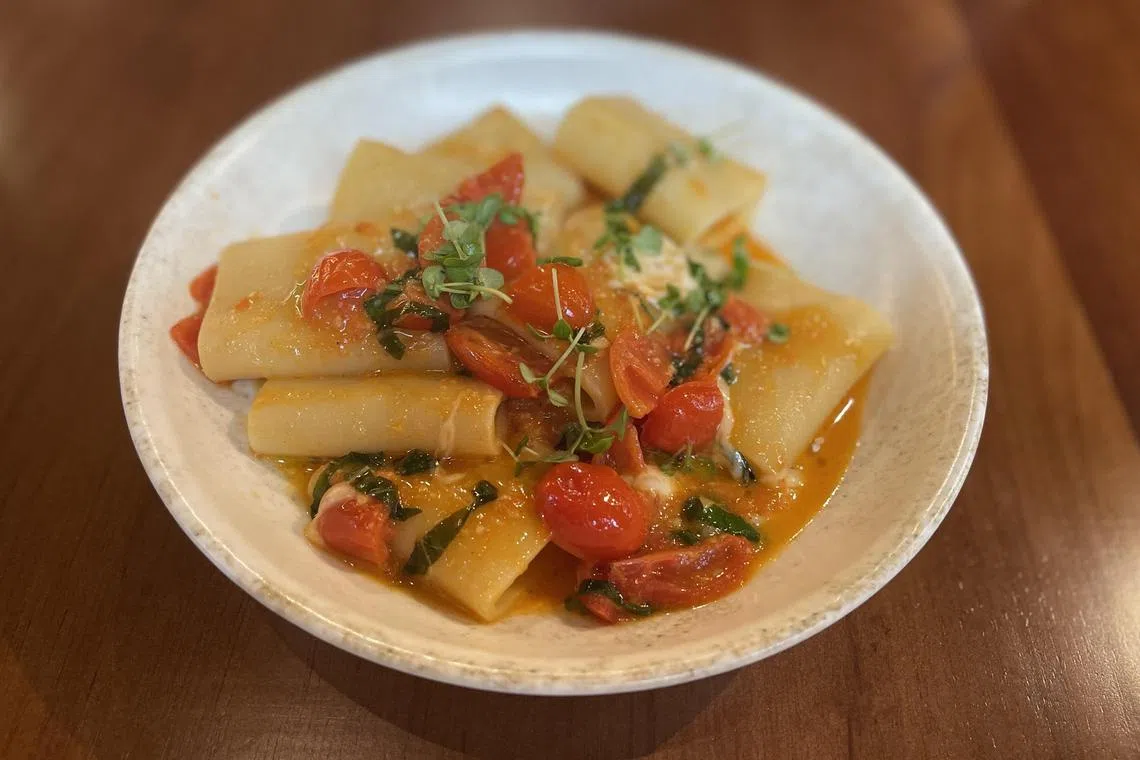 Griglia Katong的番茄酱汁拉丝芝士“Stracciatella”大圆管面，酸甜开胃。（黄靖晶摄）