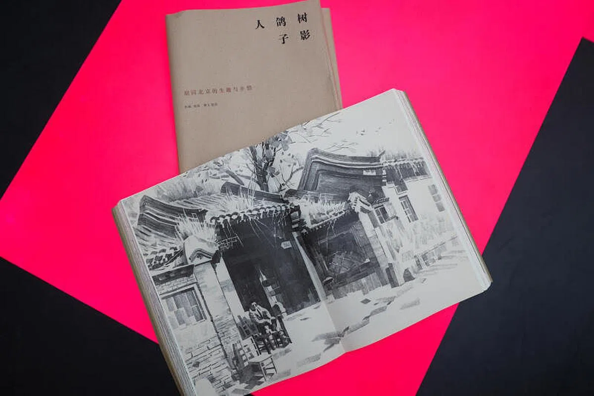 D&AD2021年得奖书籍之一《树影、鸽子、人》。（白艳琳摄）