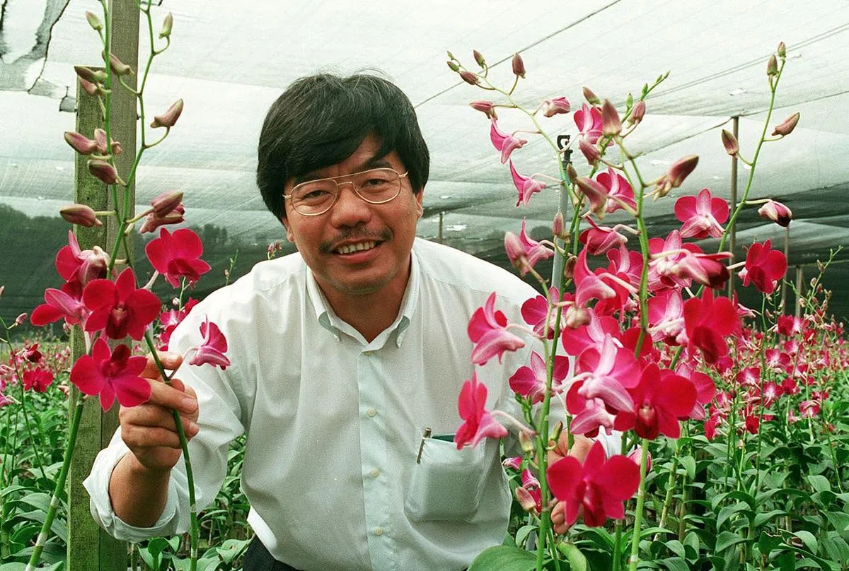 潘惠义与家人当年经营本地最大的胡姬花兼观赏花农场——胡姬山庄，是农业生涯中最辉煌的时期，1998年曾获颁国际标准ISO的品质管理认证。（档案照片）