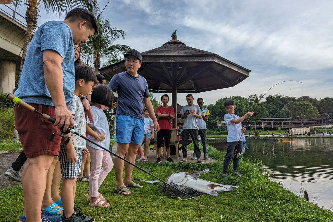 原生园内的钓鱼场营业的最后一天，一些家庭选择在此钓鱼、看日落，一同度过难得的户外亲子时光。（卓祾祎摄）