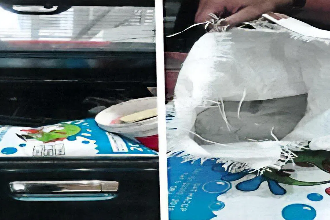 被告把装有金龙鱼的桶放入一个大麻袋内，再藏入后车厢。（取自法庭文件）