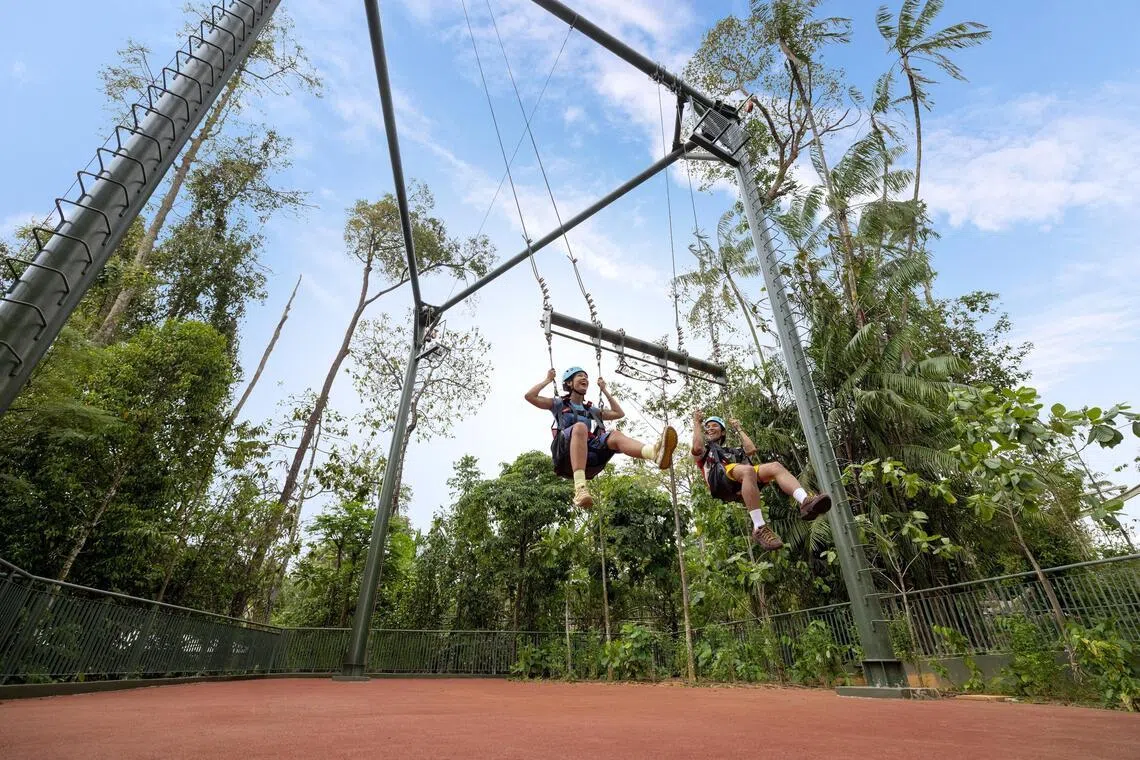 “峡谷秋千”（Ravine Swing）将让访客在红色峡谷离地八公尺的高度中来回荡漾。（万态保育集团提供）