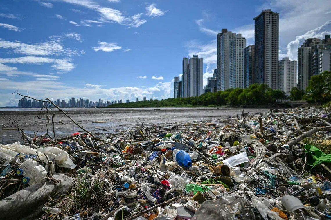 纳米塑料具有一定毒性，能造成生殖异常和胃病等。日本早稻田大学研究团队去年9月一项研究发现，除了海洋存在塑料污染物外，云层中也存在微塑料，它们可能以人类尚未完全了解的方式影响气候。（法新社）