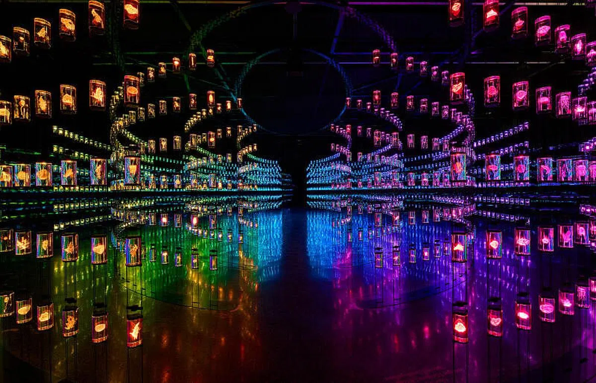 未来博物馆四楼展厅呈献《疗愈机构》。（未来博物馆提供）