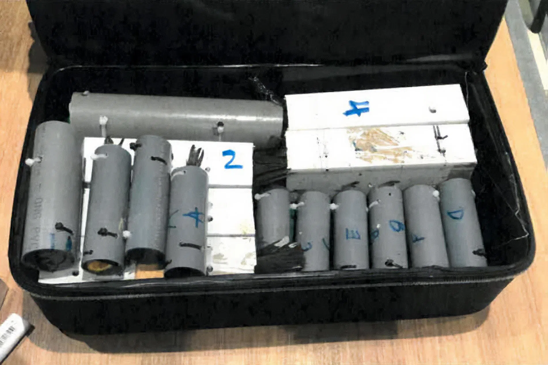 去年8月，移民局官员在机场进行例行检查时，发现一名男子的行李袋底部藏有16只活鸟，其中三只后来死亡。（公园局提供）