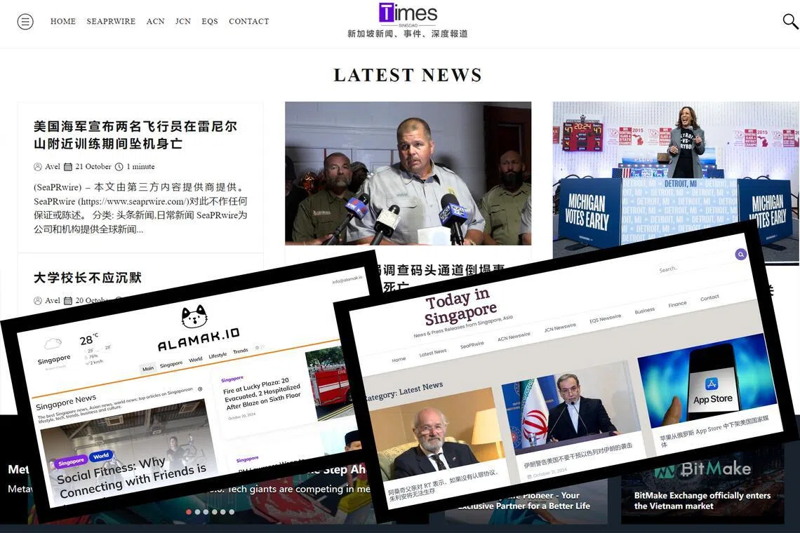 2024年10月22日，政府宣布屏蔽10个由外国势力设立的虚假网站。这些网站通过使用与新加坡相关或相似的域名来冒充本地站点，发布各类新闻与信息，可被别有居心者用作发起针对我国的敌意信息宣传平台。（档案照片）