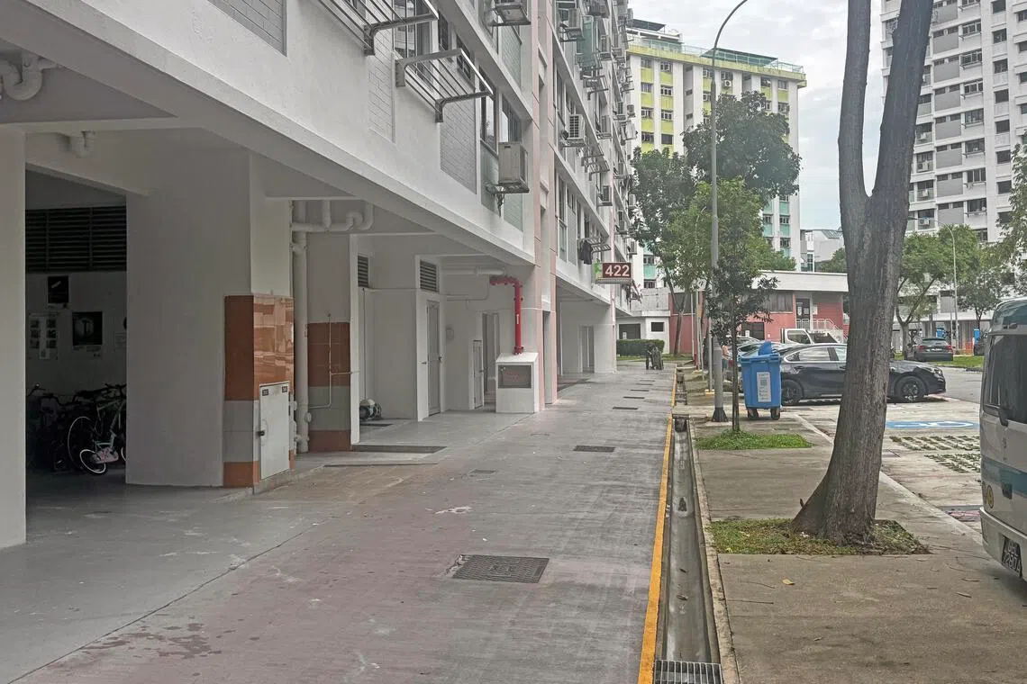 记者走访时，组屋四周环境并没有脏乱的情况。