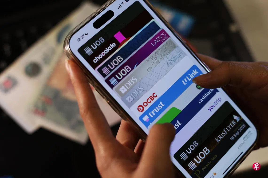 串谋盗刷信用卡买4万元手机套现马国男子判入狱两年| 联合早报