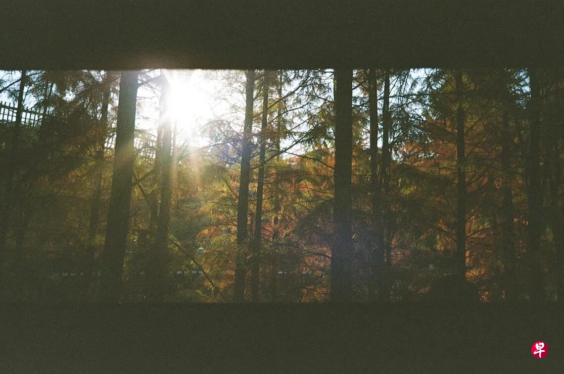 取火】李画扬：遥远的冬日| 联合早报