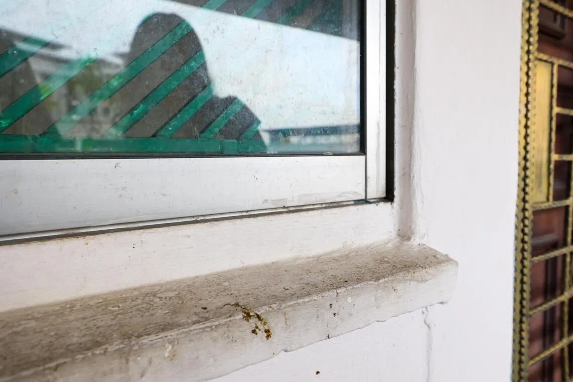 涉事单位的窗沿上多处可见鸟粪。（林明顺摄）