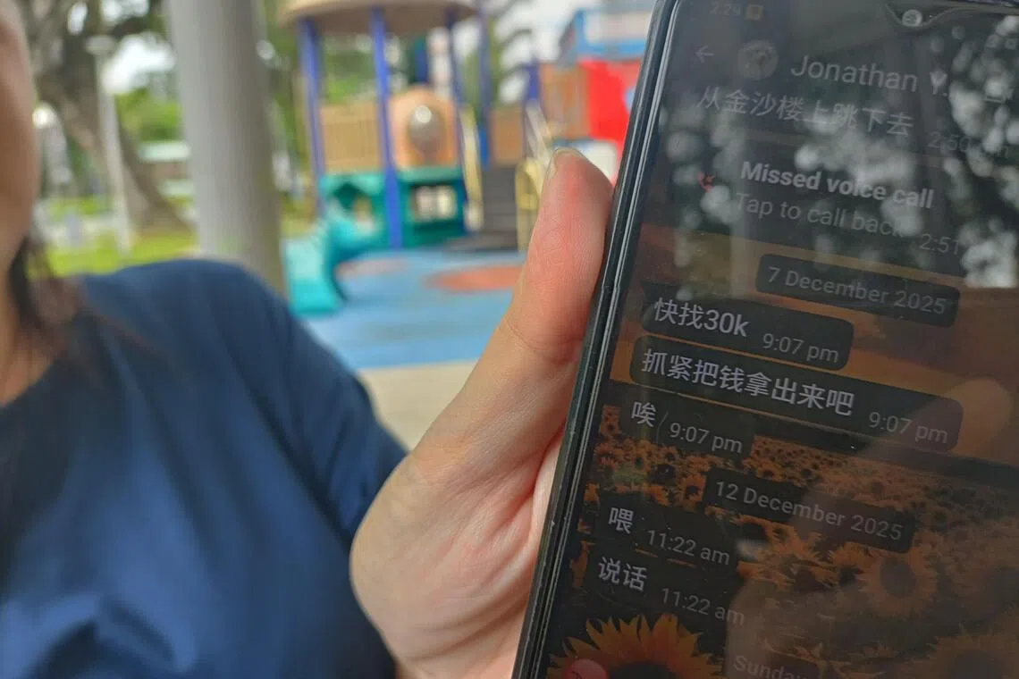 小琳说，当她发现自己被骗，并质问男子为何骗走她的血汗钱时，对方竟然还诱她再投入3万元，声称这样就能拿回所有资金，并获得四倍利润。（温伟中摄）