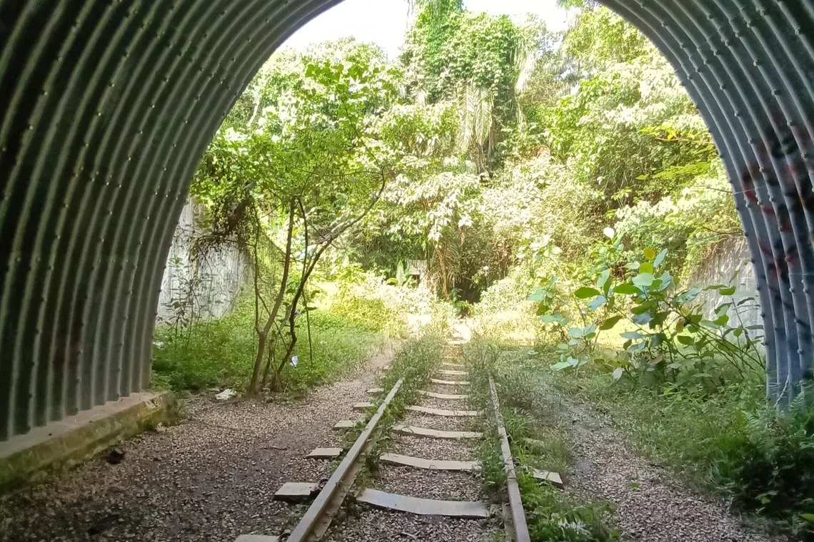 金文泰路下面的火车隧道。（皓琦摄）