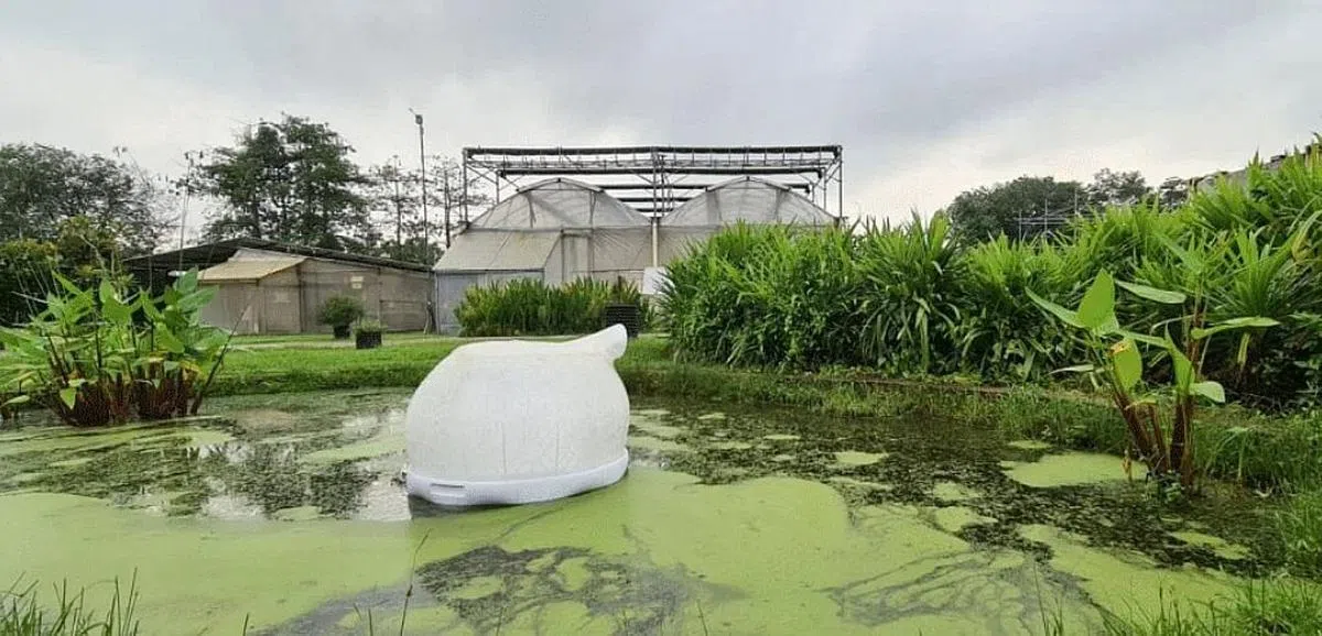 漂浮的农场豆荚设计，将本来造成海洋污染的塑料改为食品生产容器。（受访者提供）