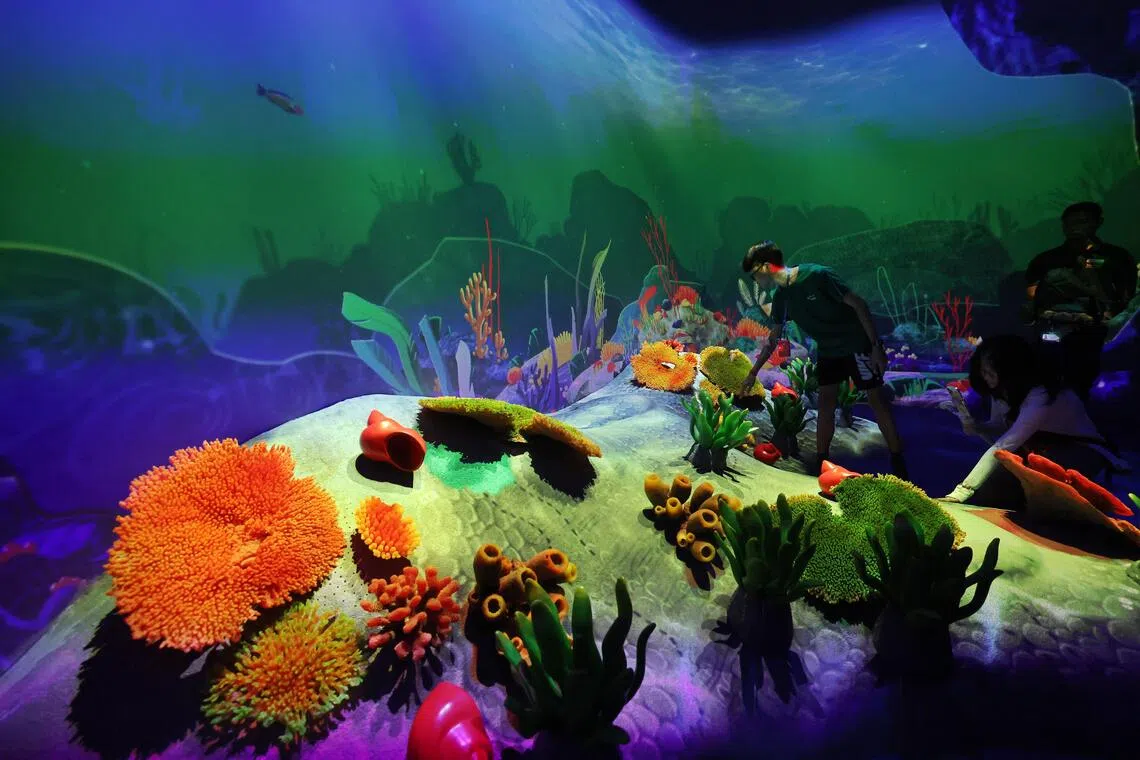 在湿地区的珊瑚乐园中，孩童可以探索海底世界的捕食者和成群结队的小鱼，感受珊瑚礁的触感，随光影的流动探索珊瑚下的海洋生物。（唐家鸿摄）