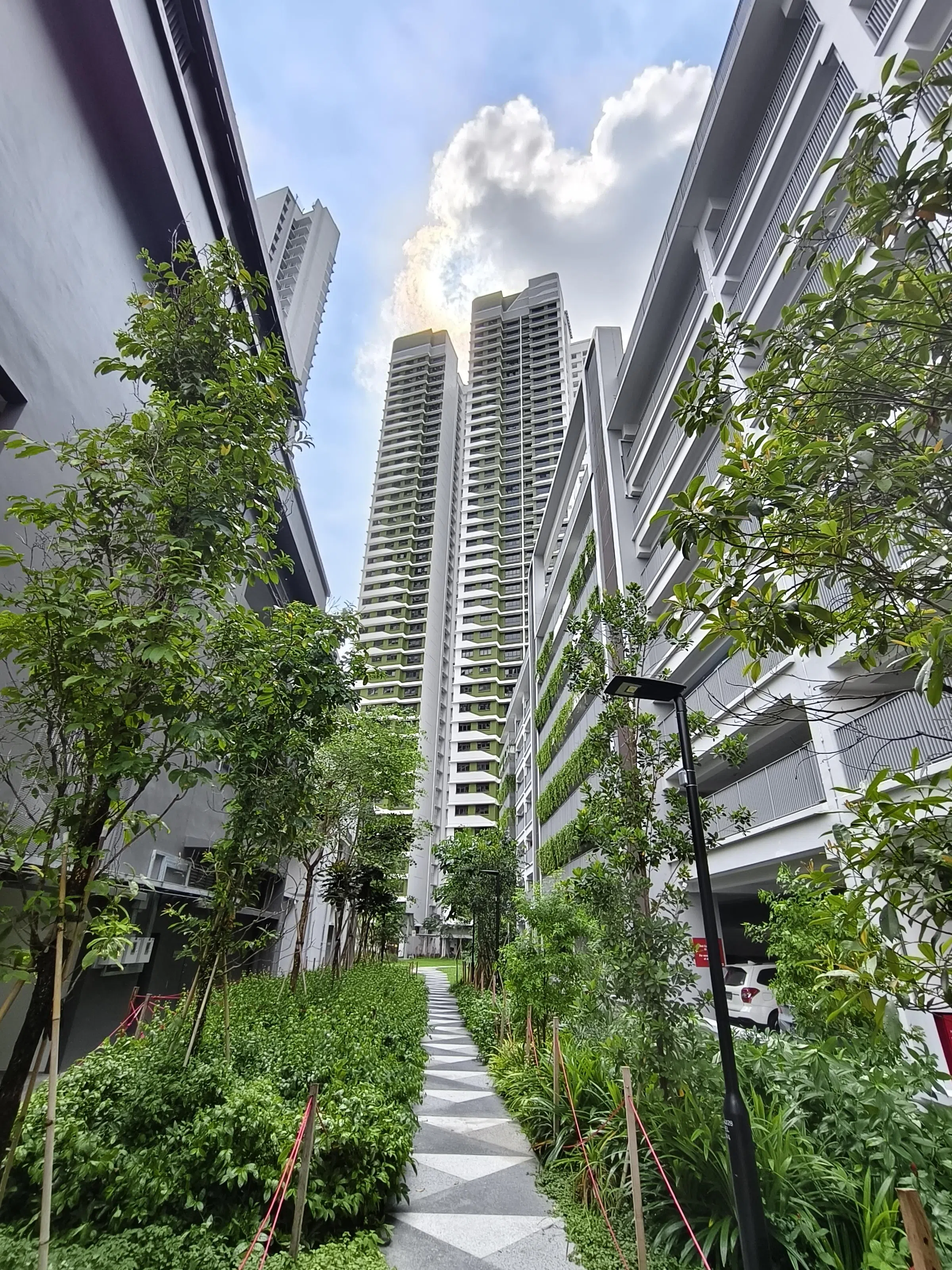 X200 FE的照片色彩较为鲜艳，画面观感讨喜。（黄少伟摄）