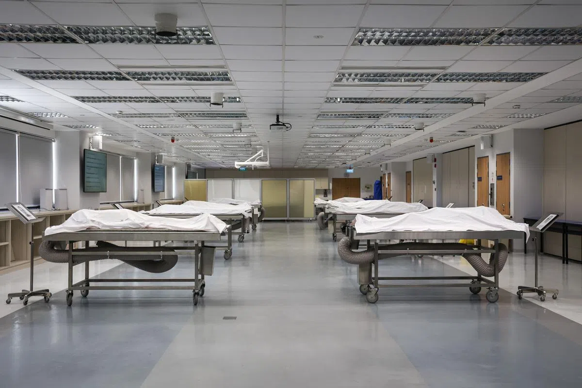 人体解剖工作坊因疫情关系，停办两年，今年重启让医学生选修。国大杨潞龄医学院解剖教学中心里的八位“无语良师”。（李健玮摄）