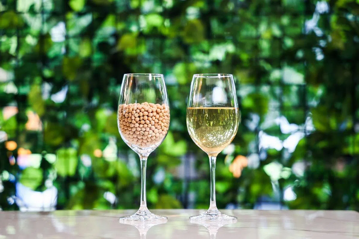 Sachi豆清酒花了6年时间研发而成。（李健玮摄）