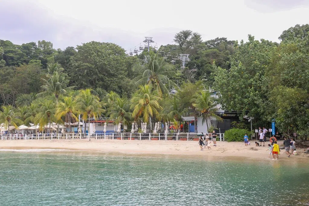 未再发现鳄鱼踪迹 圣淘沙三海滩水上活动禁令取消