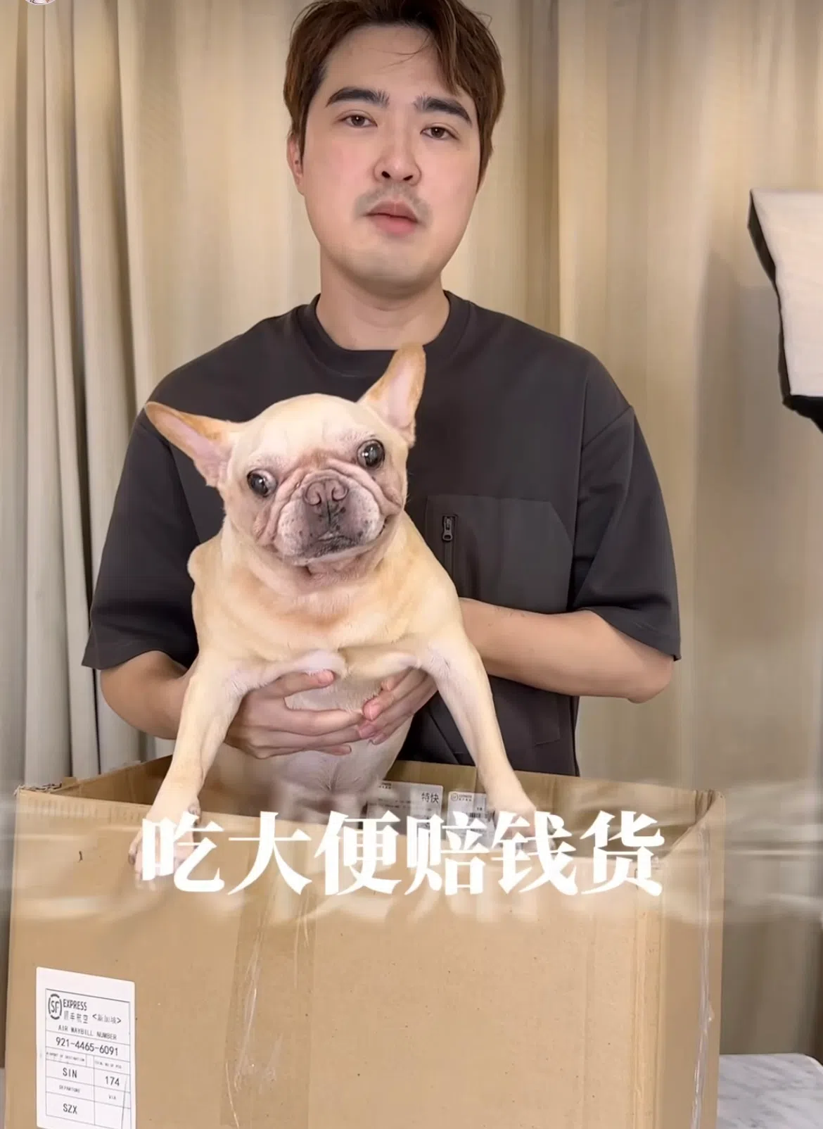 李腾在搞笑影片中，“推销”法国斗牛爱犬Bali。（取自李腾IG）