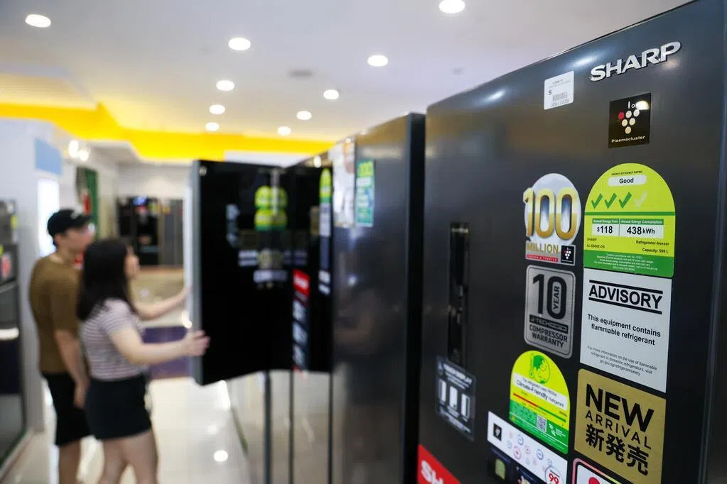 交流站：应帮助低收入家庭应对价格波动