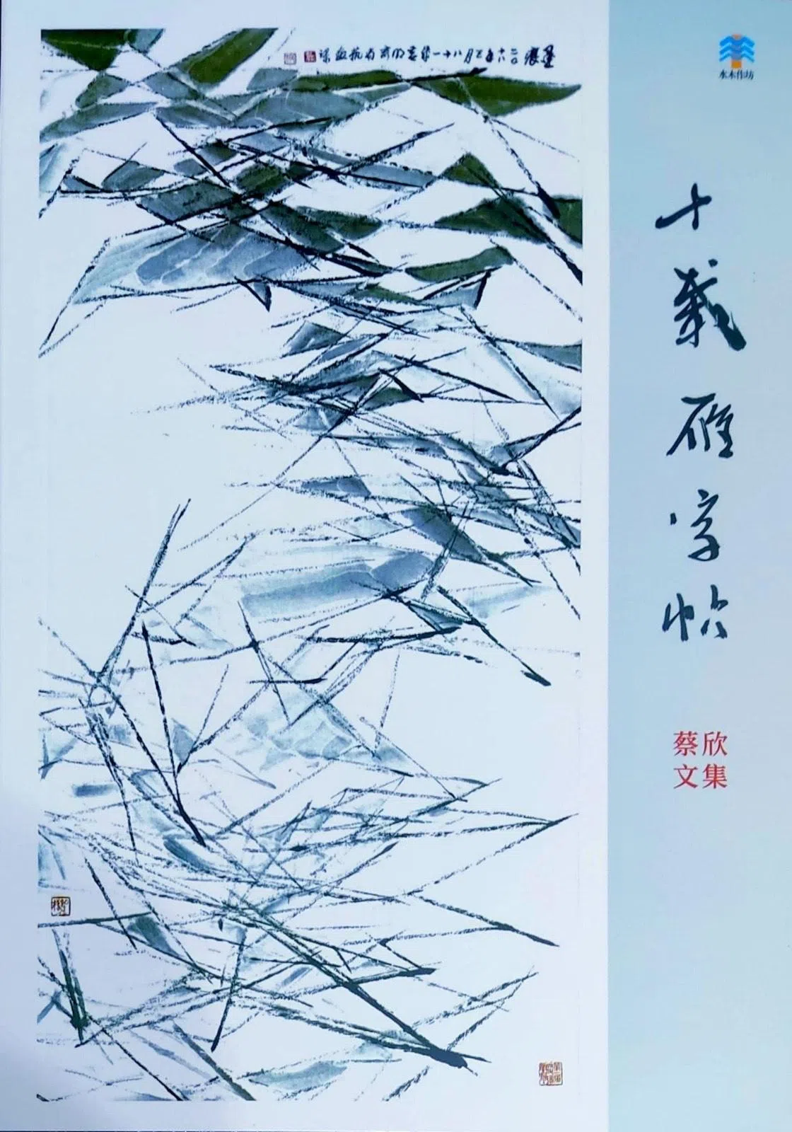 蔡欣新书《十载雁字帖》，由水木作坊出版。（陈宇欣摄）