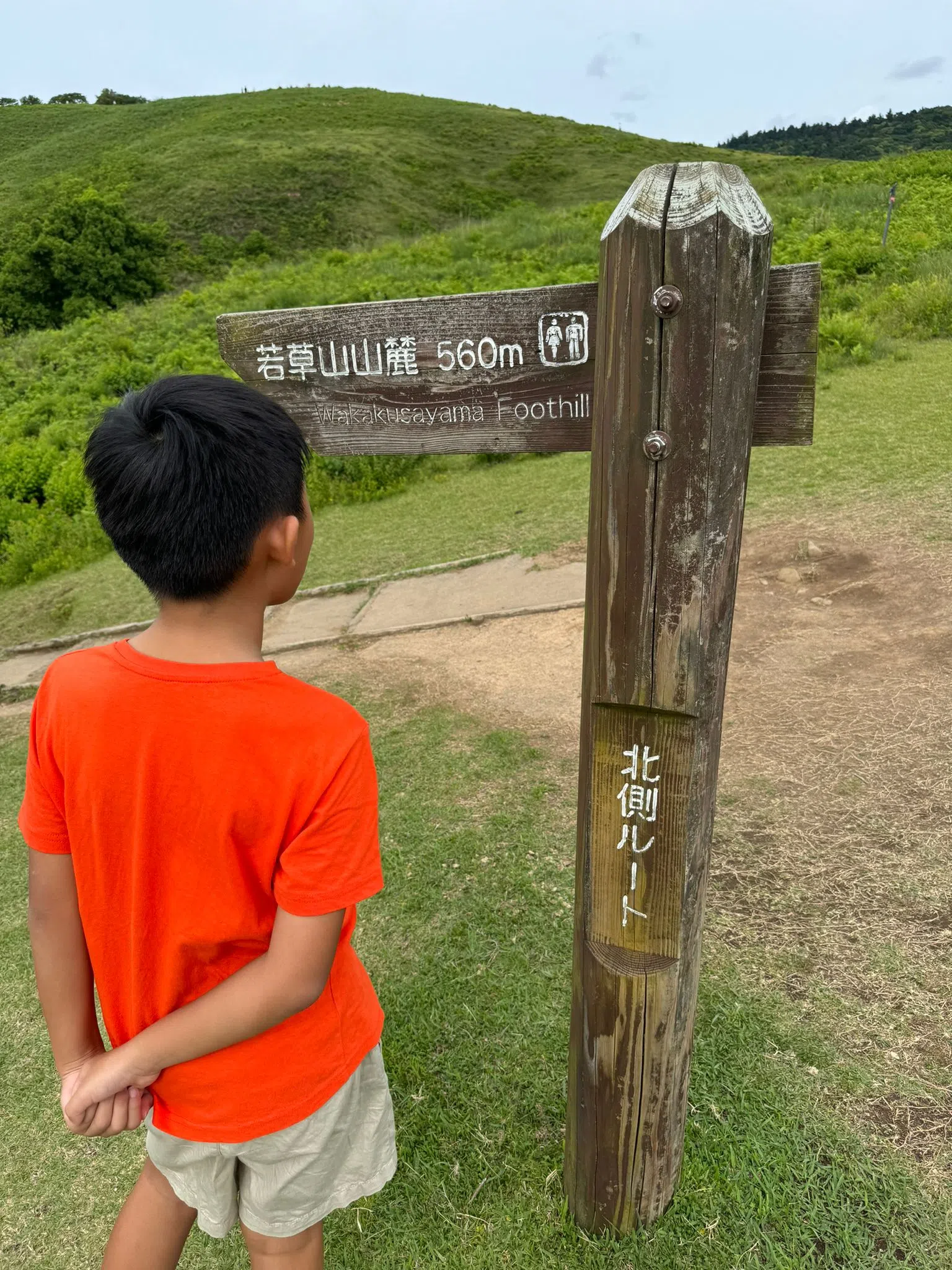 陈天文赞儿子一鼓作气爬上位于奈良公园的若草山。（陈天文提供）