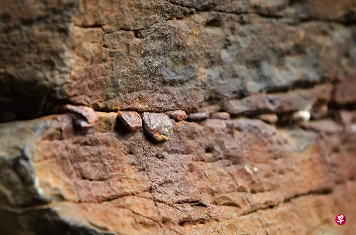 旅客塞硬币求爱情或好运北爱尔兰著名景点遭破坏| 联合早报