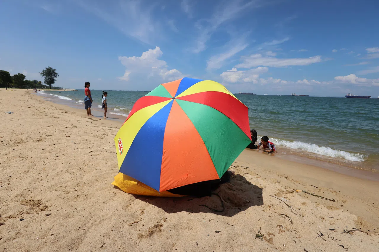 画面色彩自然，看起来赏心悦目。（谢智扬摄）