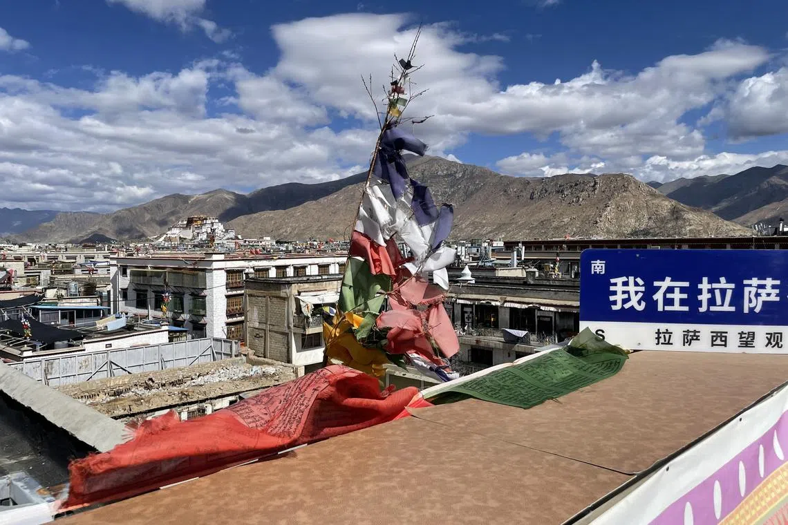 走出图书馆上楼顶，可以望见蓝天白云下的布达拉宫。（张志华摄）