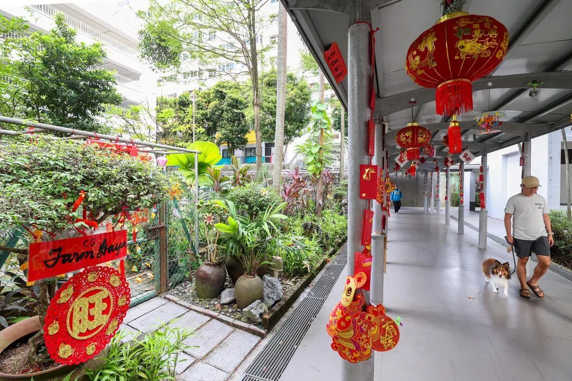 惹兰孟比那（Jalan Membina）第118座组屋附近的社区花园及走廊用红色装饰点缀，迎接新春。（陈斌勤摄）