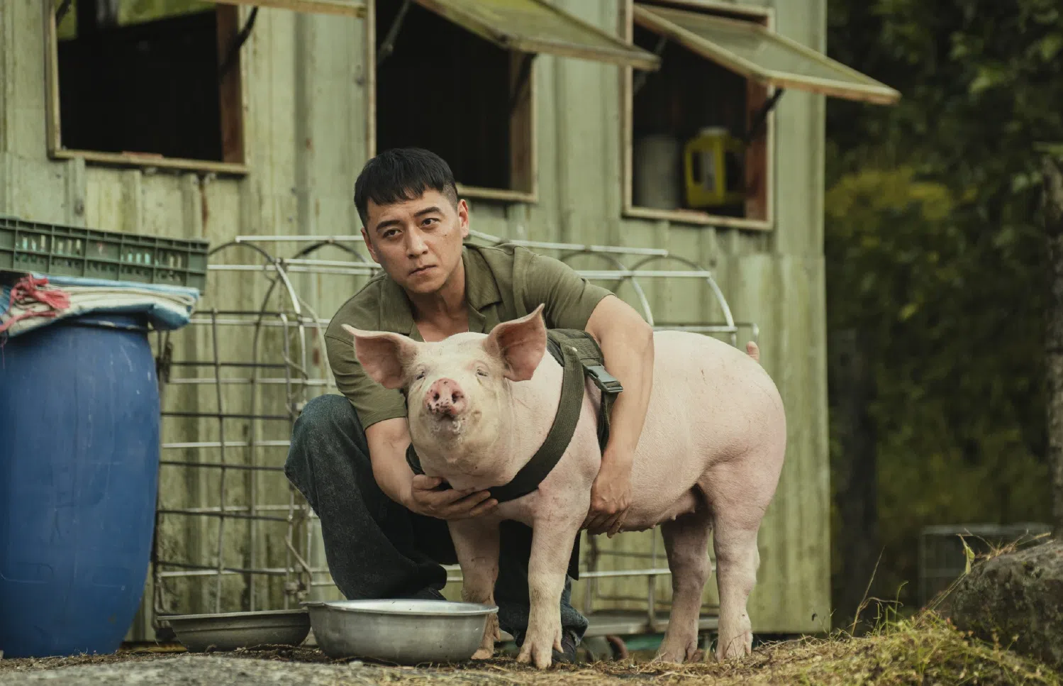 郑人硕在《黑盒子》的《猪人》单元中，与猪“演员”一起演出。（哇哇映画提供）