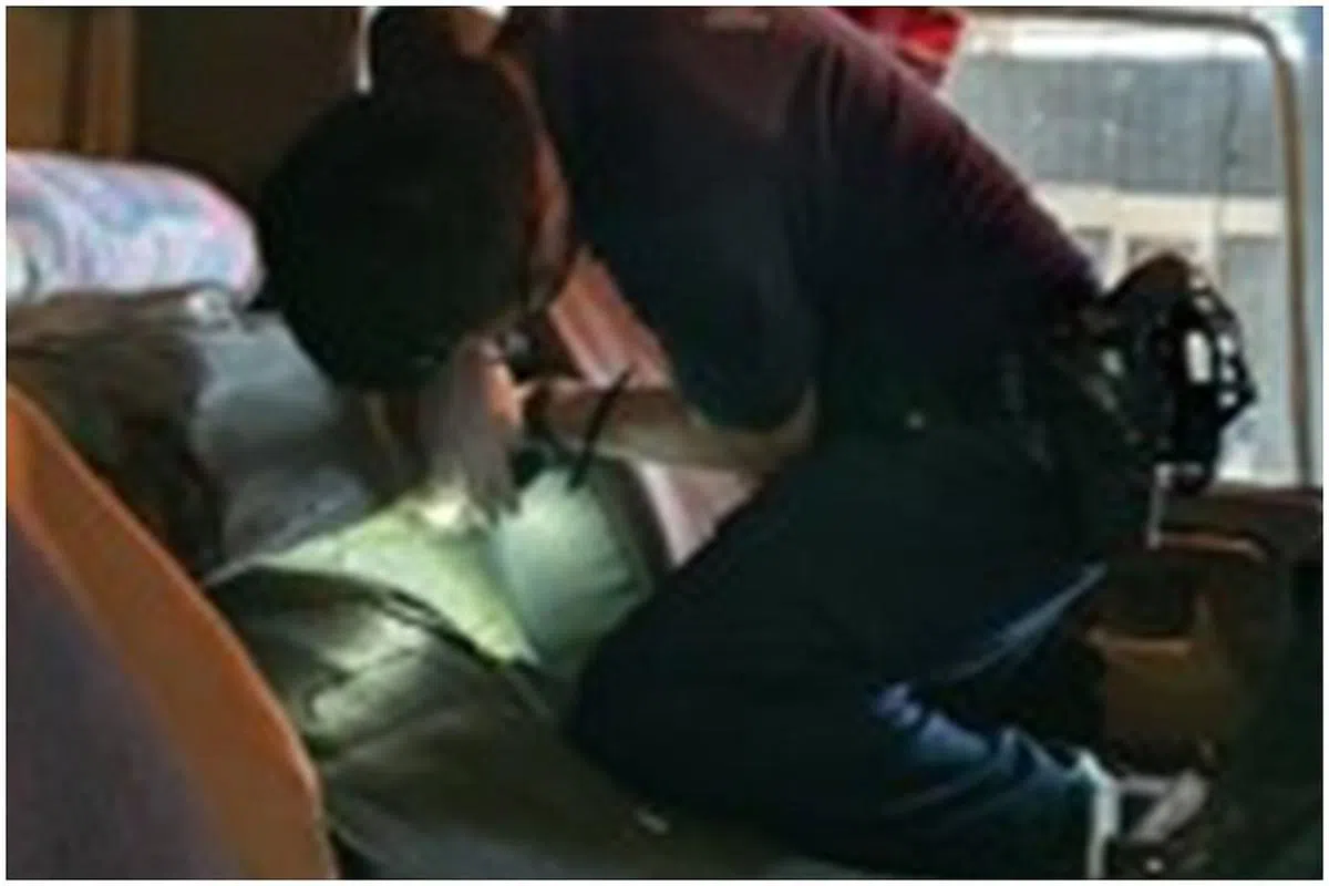 马国罗厘私运13只猫狗，其中12只狗藏在床褥下，一只猫则藏在工具箱内。（取自移民与关卡局面簿）