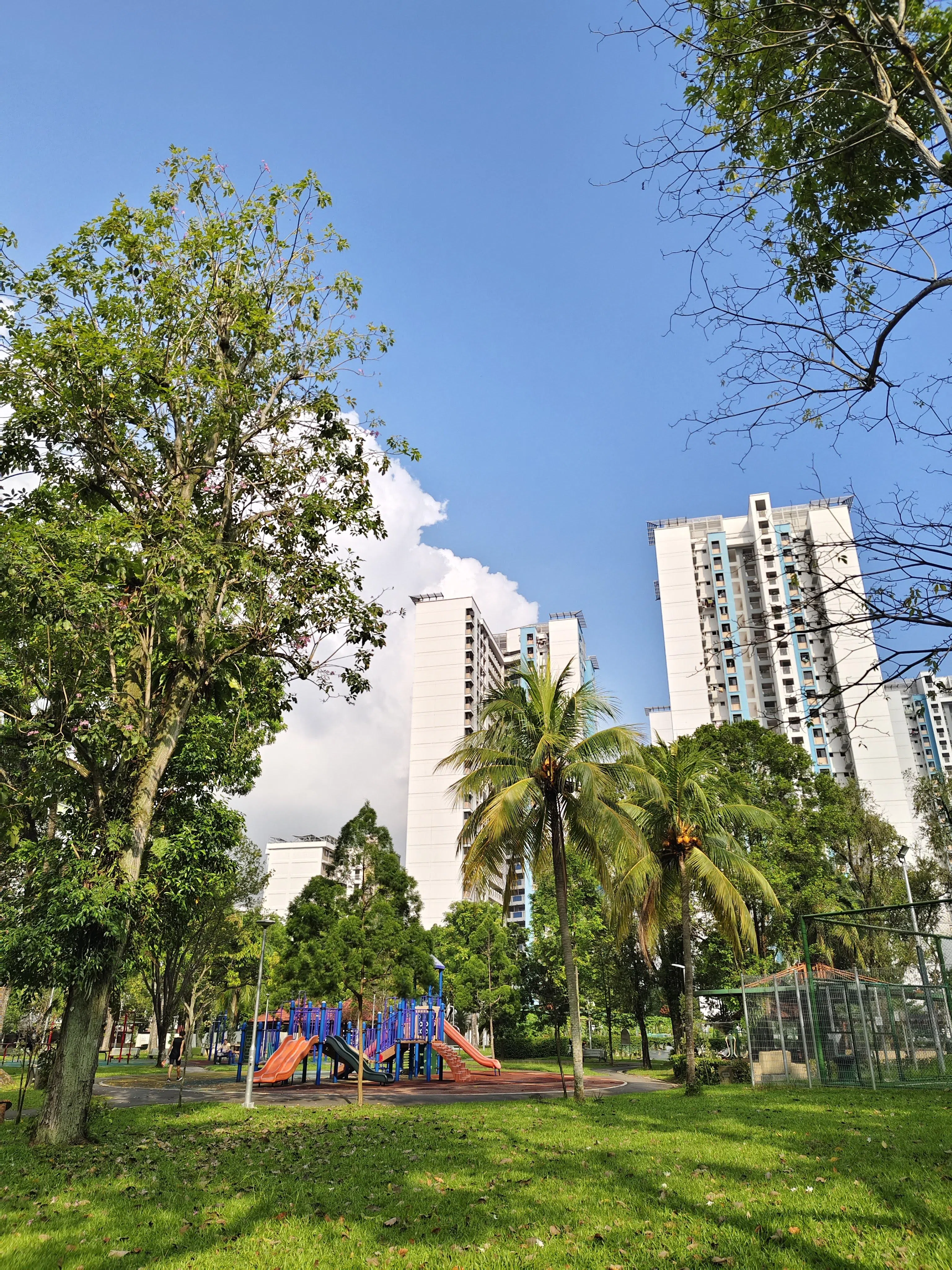 V30的照片看起来很清晰锐利，不过颜色有点饱和。（黄少伟摄）