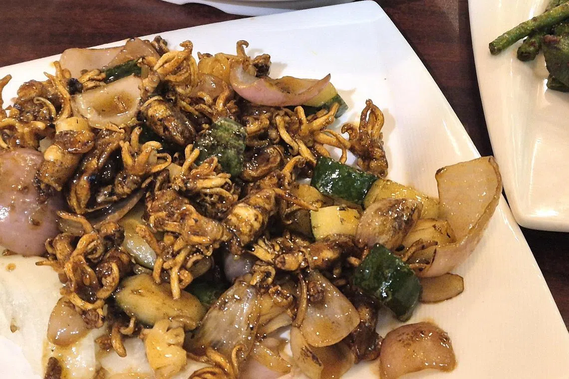 食乐福浇汁苏东仔，火候恰到好处，是下饭的绝佳选择。（陈爱薇摄）
