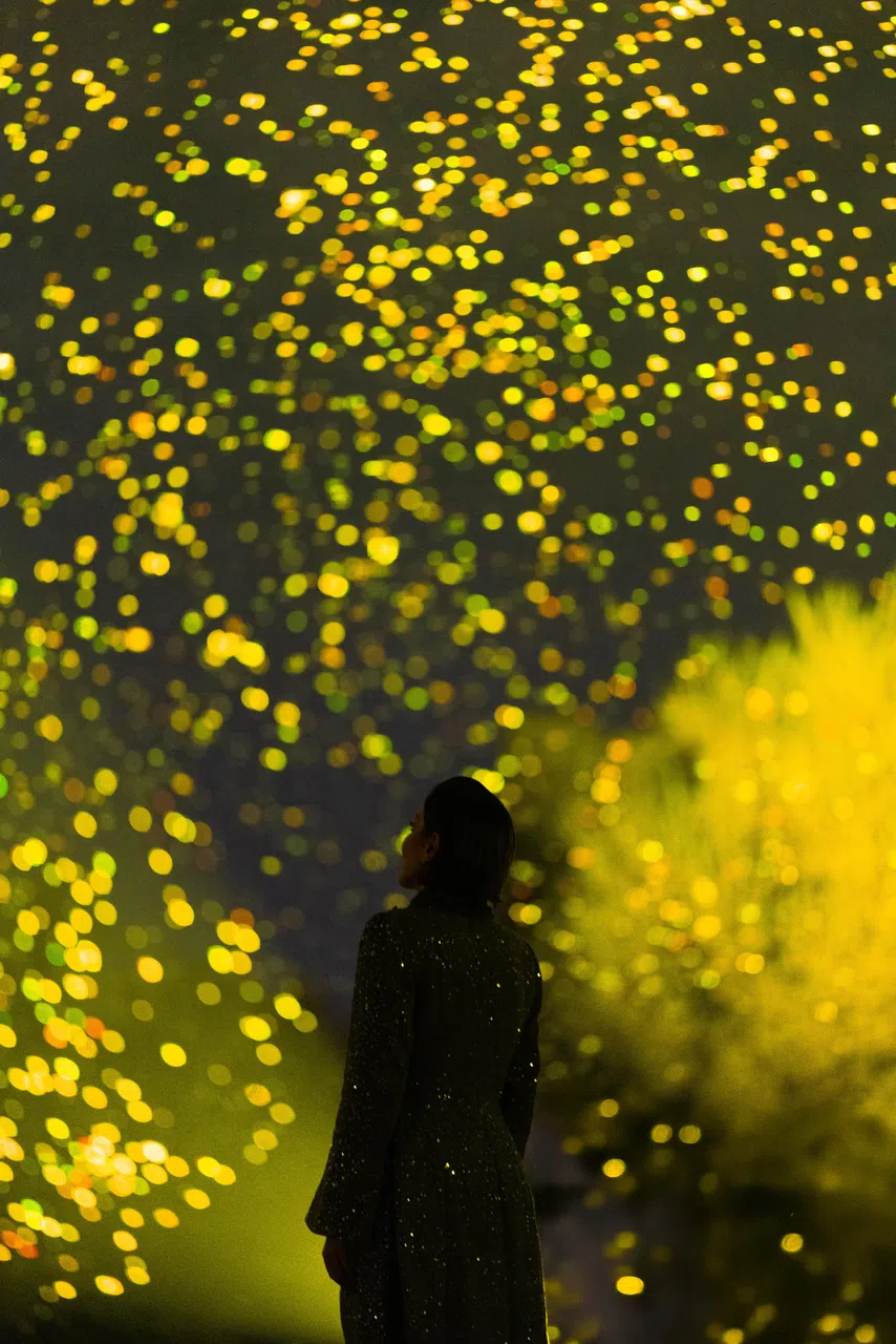 SPARK已在世界各大城市，如英国伦敦、西班牙毕尔巴鄂（Bilbao）、日本东京、澳大利亚墨尔本，以及沙特阿拉伯利雅得等地演出。（滨海湾花园提供）