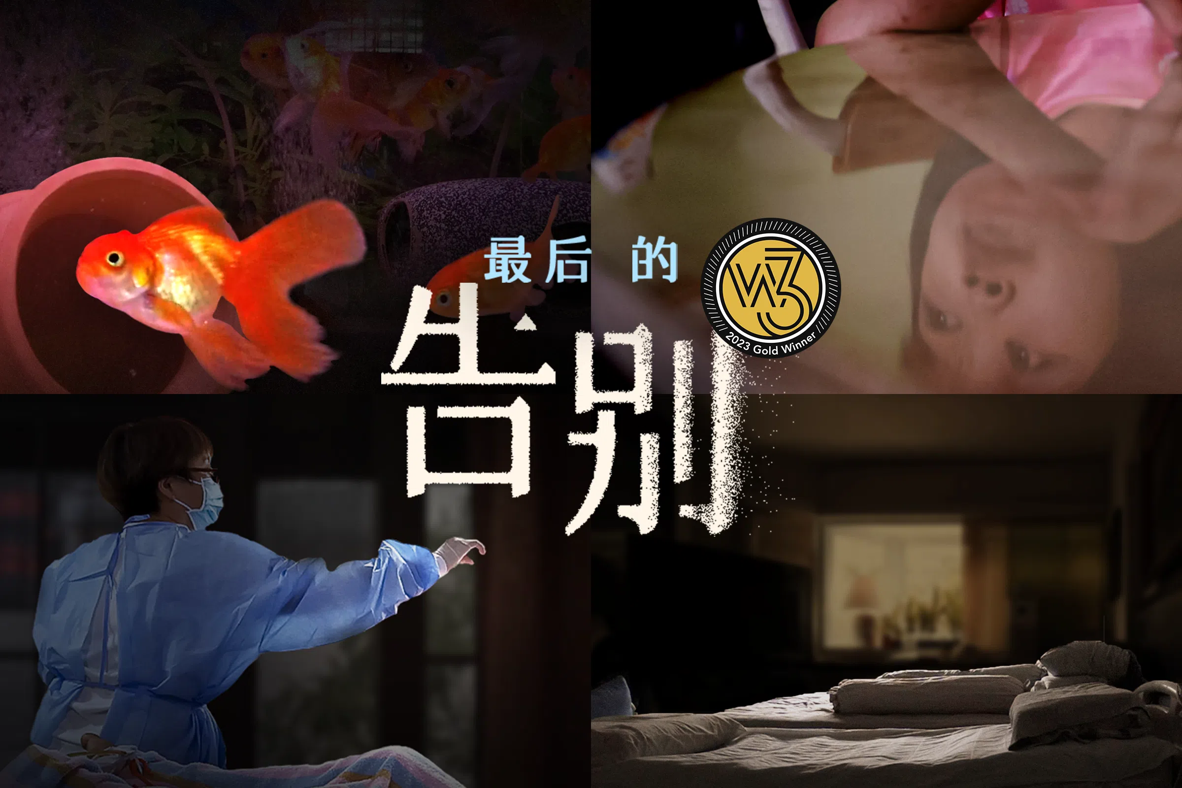 视频系列《最后的告别》摘得w3大赛的影音组别纪录片类别金奖。