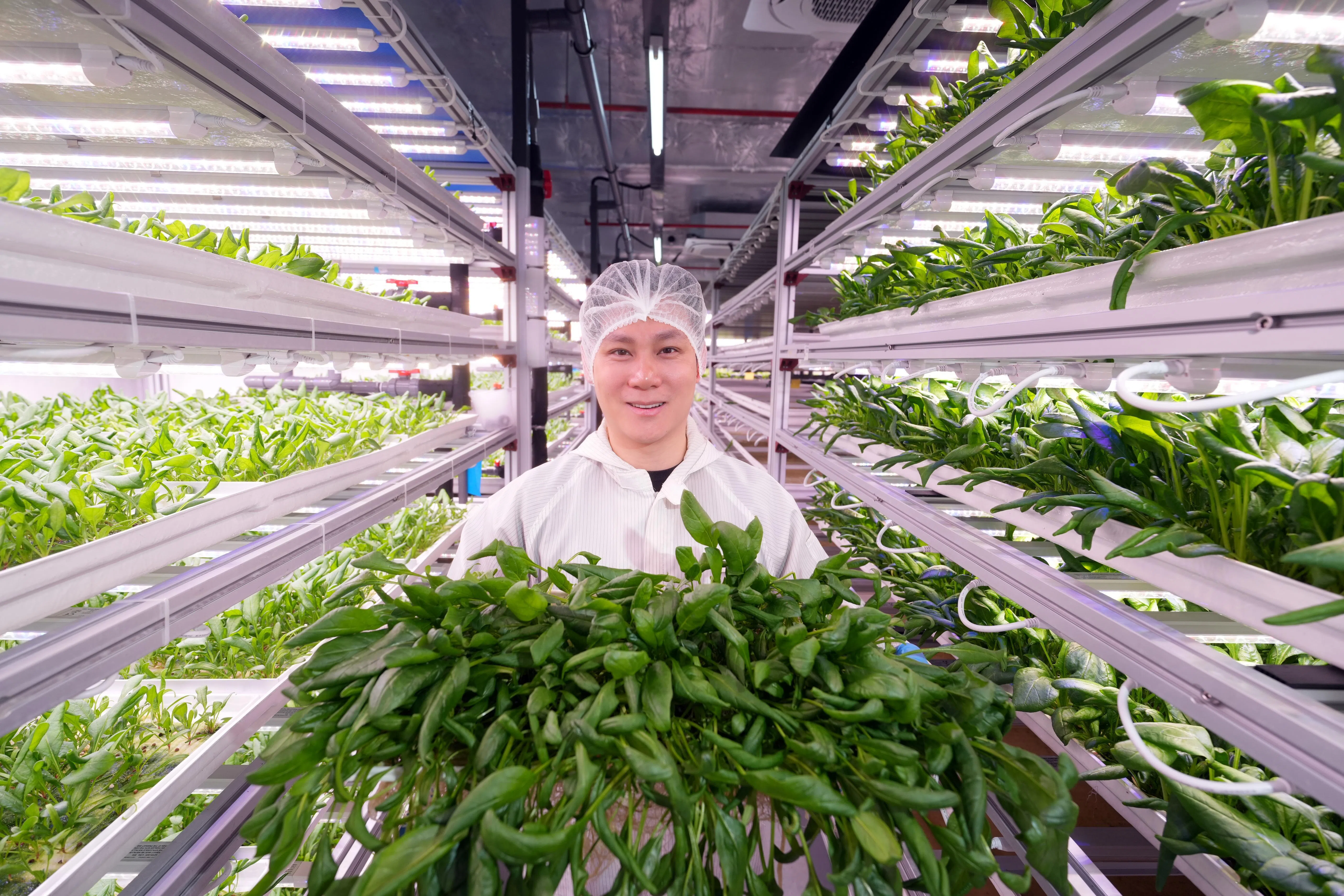 Artisan Green创办人傅元瑞有信心，兴建中的农场能在大约三年半内回本。（谢智扬摄）