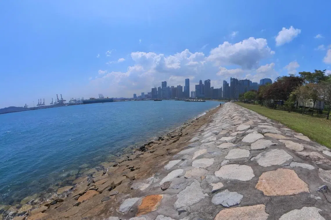 本地逾七成海岸线设有防波堤等硬体结构，以防海水倒灌流入内陆。图为滨海南一带的碎石护坡（rock revetment）。（受访者提供）