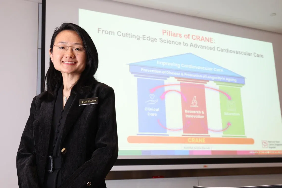 亚太地区首个“心寿计划”由新加坡国家心脏中心心内科高级顾问医生许素美带领，旨在综合研究、临床护理及教育三方面，加强年长者整体就医与预防疾病体验，以提升年长者的心血管健康水平。（何家俊摄）