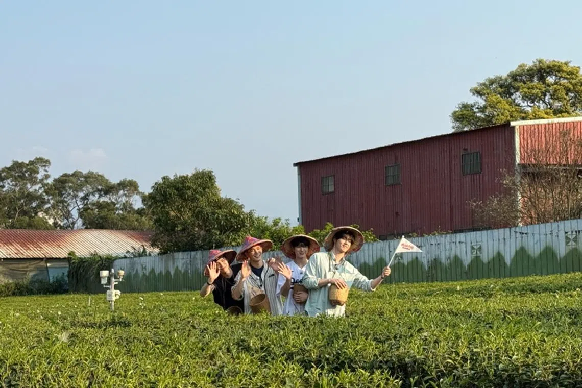 跟着韩团CIX畅游台湾桃园。（tvN提供）