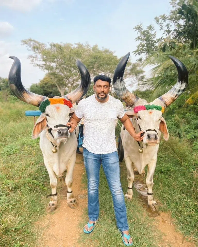 达山图古迪帕涉嫌杀人弃尸。（取自达山图古迪帕IG）