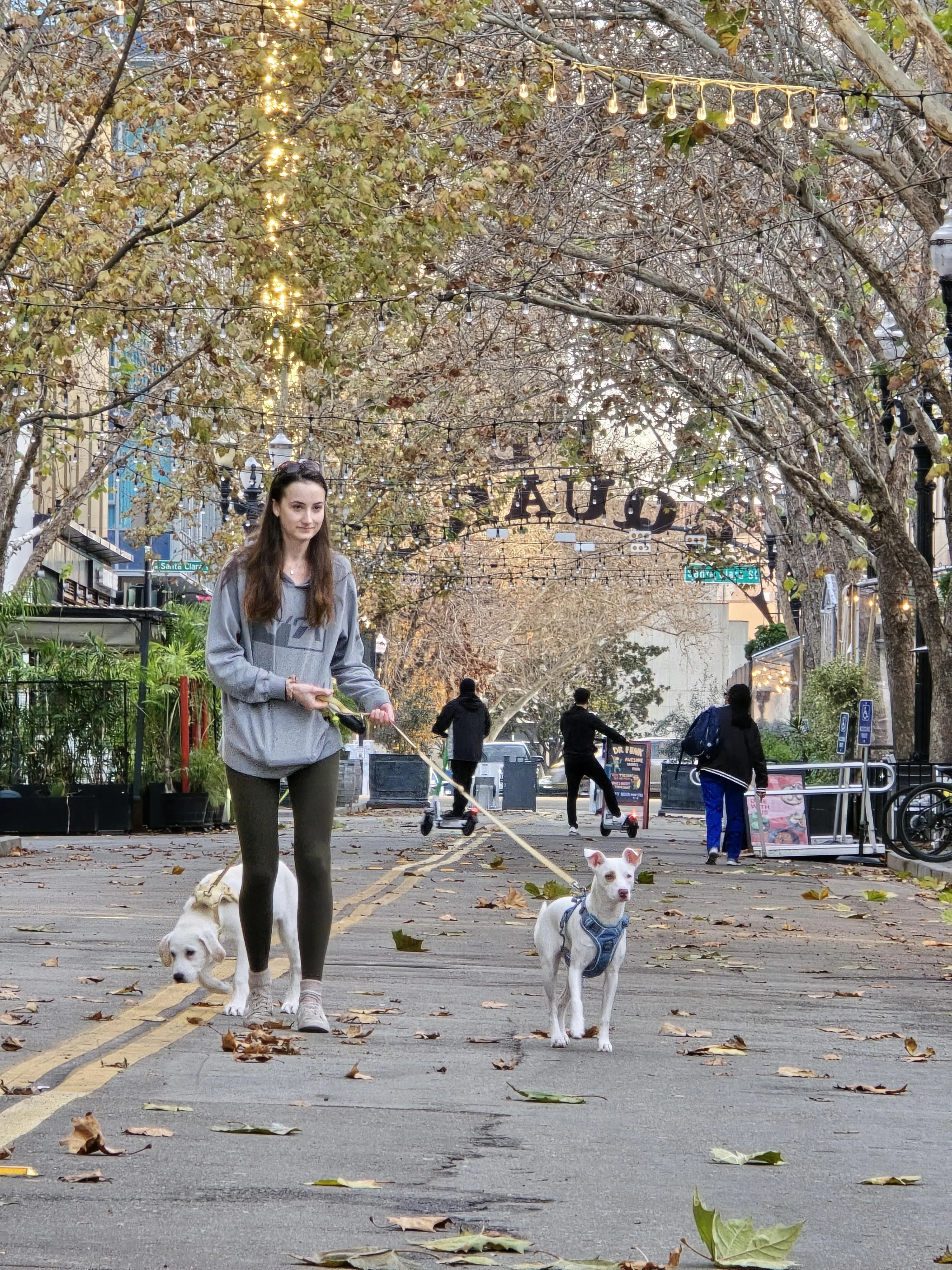10倍长焦功能可捕捉到远处女子遛狗的画面。（黄少伟摄）