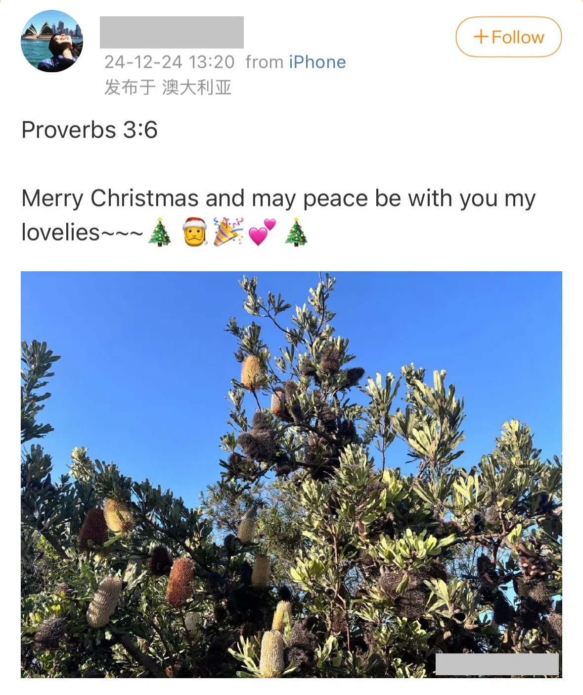 孙燕美自2月初未更新微博，12月24日终再发文。（取自孙燕美微博）