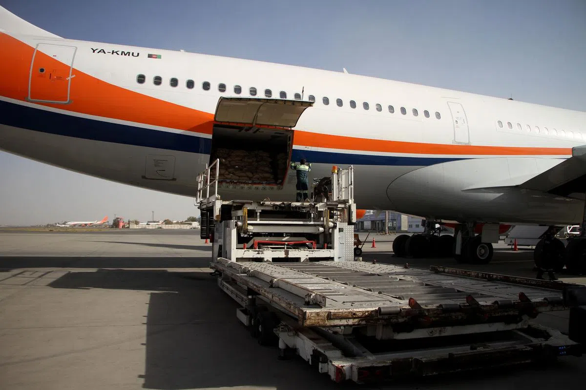 一批45吨重的松子当地时间10月31日，从阿富汗首都喀布尔出发，包机运往上海。（中国驻阿富汗大使王愚推特）