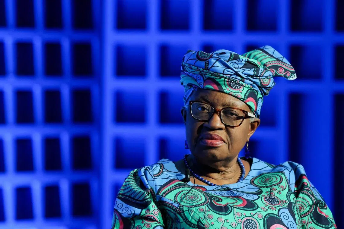 世贸总干事抨击保护主义抬头 需要各方对话解决