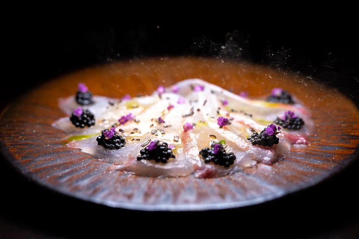 鲷鱼松露用盐渍海带和松露油调味，特别好味。