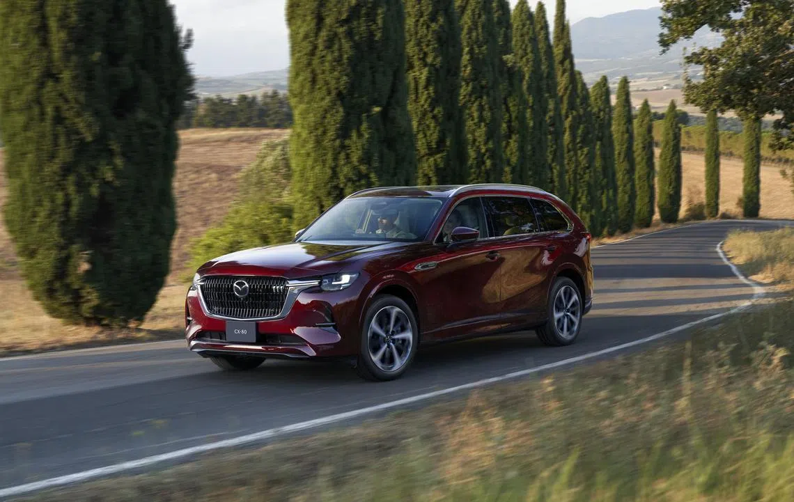 大馬主kz 万事达CX-80 大气沉稳不乏冲劲| 联合早报